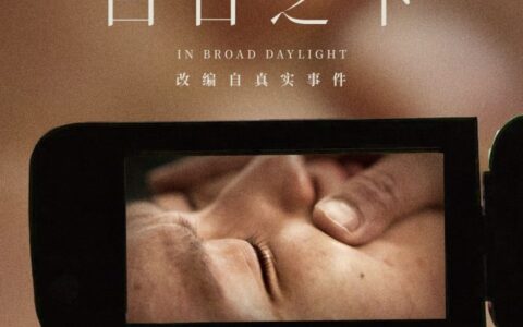 《白日之下》遭遇票房寒冬，四天仅收获645万，业内分析原因何在？