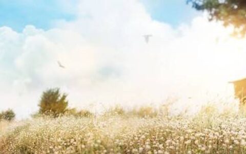 原创
            对于女人来说，有四种“存钱”的方式，很高级