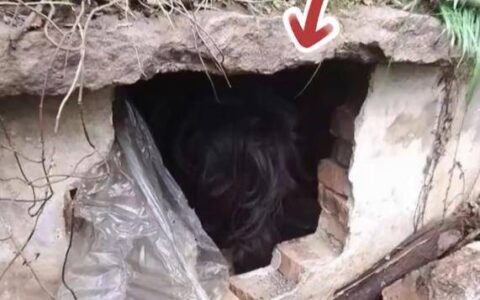 大爷晨练发现坟里有人，躺棺材里不肯出来？报警后结局亮了