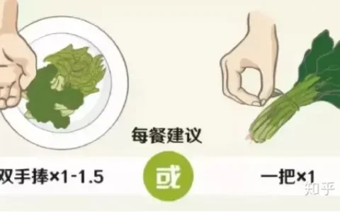 晚上不吃饭真的可以减肥么？还是晚上少吃一点好？