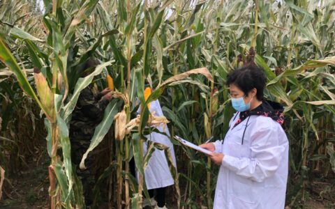 吉林省：多措并举保护黑土地，耕地质量不断提升