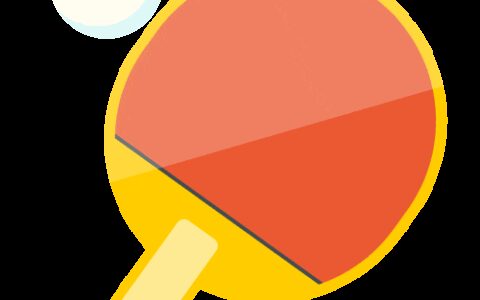 中国乒协公示巴黎奥运混双与男单参赛名单