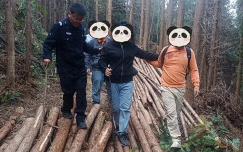 女子走小道爬山，却不慎被落石砸伤……