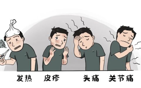 登革热疫情高发，出境游请注意！