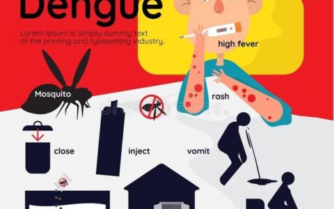 原创
            登革热疫情肆虐南美洲：巴西告急，全球警惕！