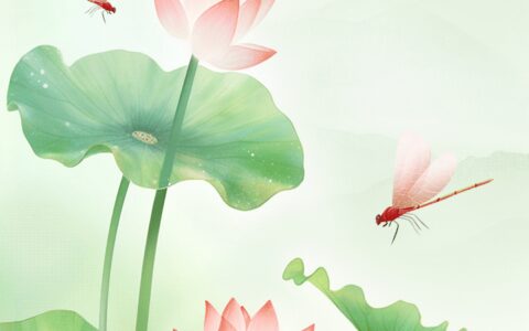 立夏：夏天就来连云港！