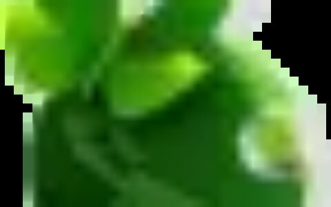 低碳日⑥丨#低碳生活 绿建未来# 倡议！宣传！行动！