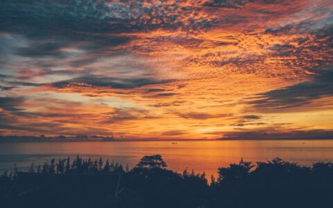 此景只应天上有，人间能得几回观