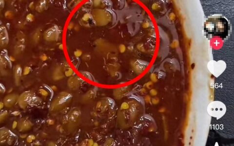 网友称老干妈水豆豉中有蛆，多名网友质疑！厂家：密封包装，活物无法存活