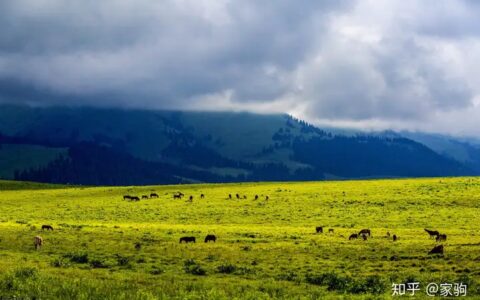 天山脚下的神奇草原，那拉提！