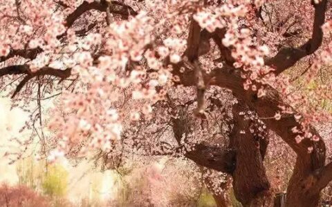 新疆尚未被开发的6大原生态景之地！简直美的无法无天…