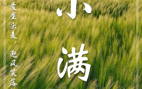 今天小满，小得盈满，美好初夏到了