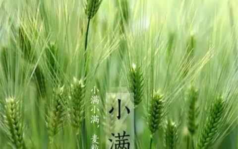小满已至，初夏温柔意正浓