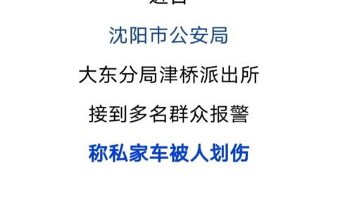 沈阳姑娘发飙，连续刮划24辆汽车方解心头之恨，没考虑后果吗？
