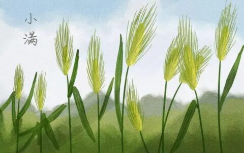 当520遇上小满，不止有“我爱你”，还有小满！