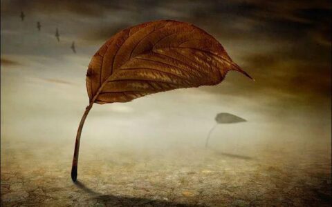 “新型养老”突然流行：既不用去养老院，也不拖累子女，让人羡慕