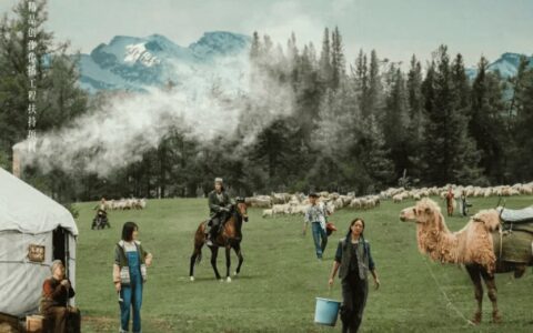 跟着《我的阿勒泰》去旅行，北屯这些地方也值得一去