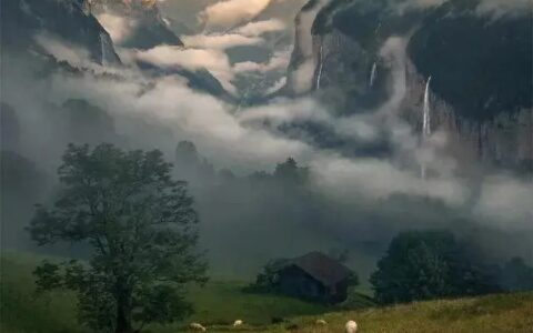 这就是我想去看的大自然：大自然的壮美，人心的慰藉