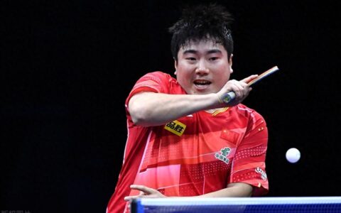 WTT太原站正赛抽签结果：林诗栋独守3/4区，陈幸同、蒯曼首轮相遇