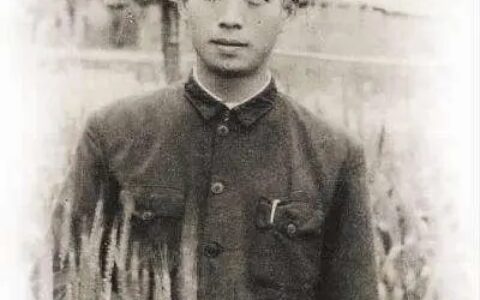 “双星陨落”“国士无双”，禾下乘凉梦，肝胆两昆仑: 袁隆平、吴孟超院士“双星陨落”周年祭