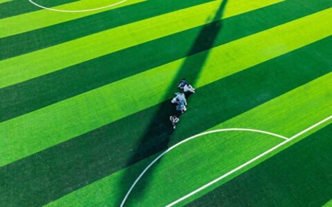 双星陨落3周年：国士精神的传承与启示