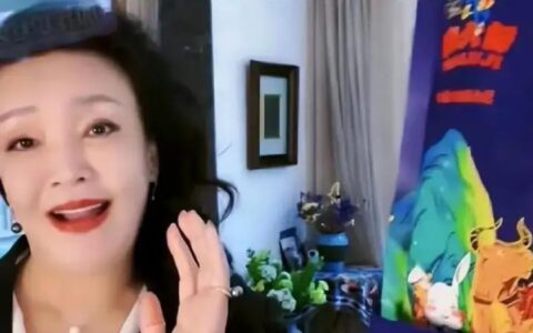 有九条命的张兰：打不倒我的，都会让我变坚强