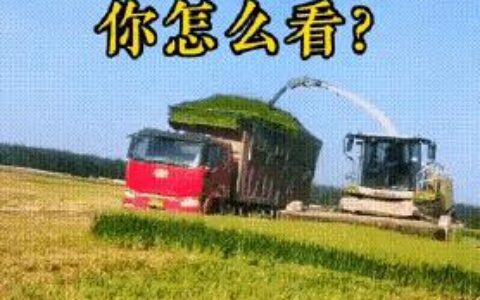 收割青储麦事件起因是“阴谋”还是“管控”，争论激烈，你怎么看？