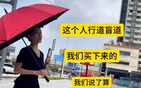 曝！南宁残疾人轮椅受阻，女经理“买断盲道”言论引众怒