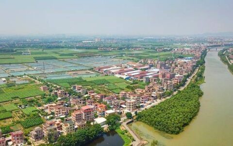 广东有一不出名的小镇，却是珠宝产地之一，年产值达300多亿