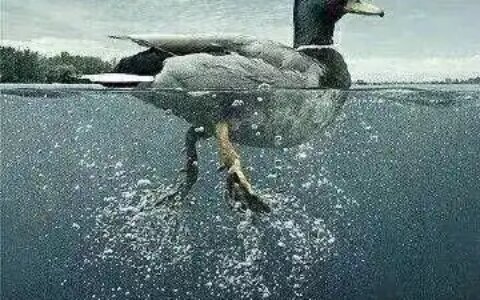 和高考有关的青春记忆-青春高考的文案