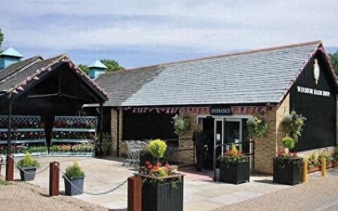 媒体曝凯特王妃现身商店！目击者称她“快乐、放松且健康”，多位朋友发声-凯特王妃最新消息