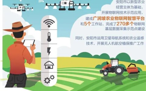 河南安阳用数字赋能现代农业 农民“掌”握丰收金钥匙-安阳文字设计