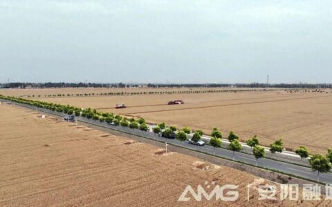 千亩麦田无人收割？安阳实现河南首家千亩无人农场小麦收割-河南 小麦 收割