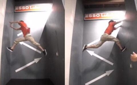 疫情下的搏击运动员：在车库菜地酒店训练 张伟丽海外流浪80天-张伟丽是谁格斗张伟丽简历介绍