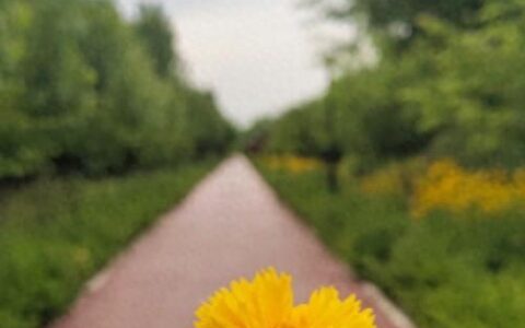 江西黄帽子叔叔找到了——这不仅仅是寻找，更是社会的警醒-工程白色帽子级别