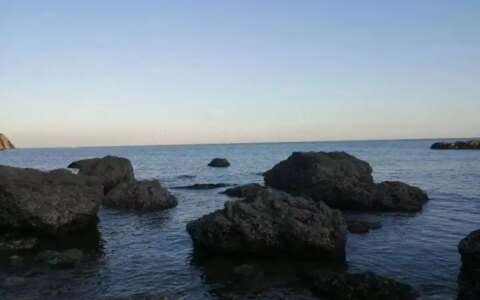 高考家长花式应援，穿旗袍是基本的，带考生“偶像陪考”最硬核-高考生家长穿旗袍