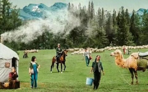 反复爱上《我的阿勒泰》的顶级美景与绝美文案（一定要收藏！）-我的阿勒泰美句