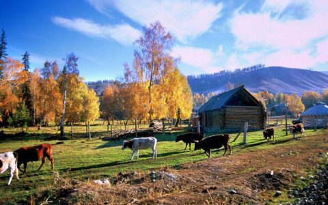 新疆印象·阿勒泰 | 每一处都是风景大片，爱上它只需一瞬间-新疆阿勒泰旅游地图