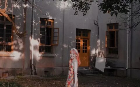 被网暴第70天：她只是染了粉色头发-被网暴如何走法律途径