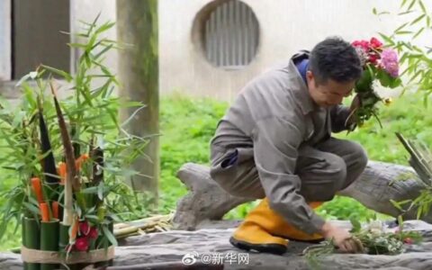 凌晨4点赶来排队！顶流“女星”今天正式营业！-女顶流排名