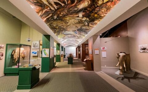 在博物馆里感受文化绵延生命力-在博物馆学到了什么