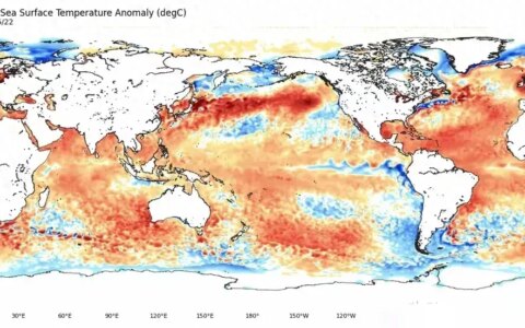 “45度高温来袭！山东河南河北将成火炉？-全河南天气预报