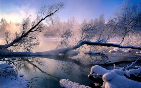 【步步每月指南】12月最佳国内旅行地 | 奔赴一场冬日之约-12月份旅游好去处