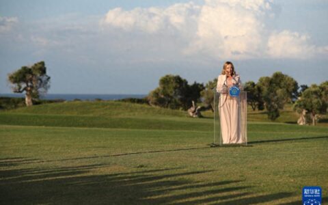 七国集团峰会在抗议声中开幕-七国集团峰会2019年召开