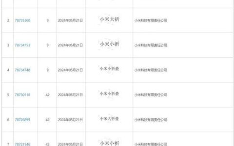 小米小米提交8个折叠屏相关商标申请，‘大折小折’齐亮相-小米折叠屏叫什么