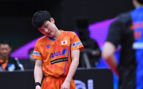 2-3、2-3，日本张本智和双线遭绝杀，3-0、4-1：眼镜侠夺双冠-想看张本智和最近日本赛单打