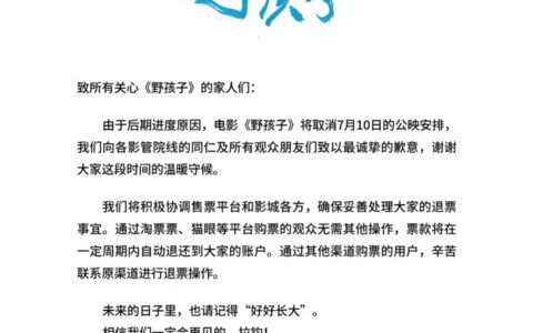 《野孩子》电影撤档，王俊凯的演员之路如此艰难，粉丝都快碎了-野孩子电影剧情介绍