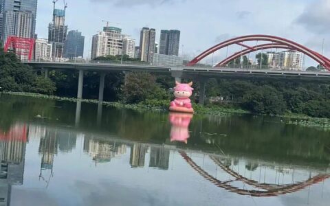 起猛了！在水上看到超大罗犇犇！-人在水中能看见东西吗