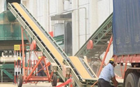 守好“大国粮仓” 科技让夏粮收储更智能更绿色-大国粮仓第二集视频