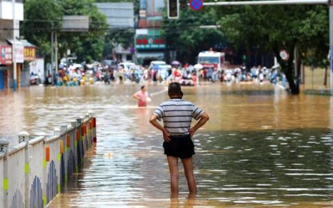 洞庭湖决堤，5000人连夜转移：人类的贪念又被历史好好教训了一次-洞庭湖到底有多大